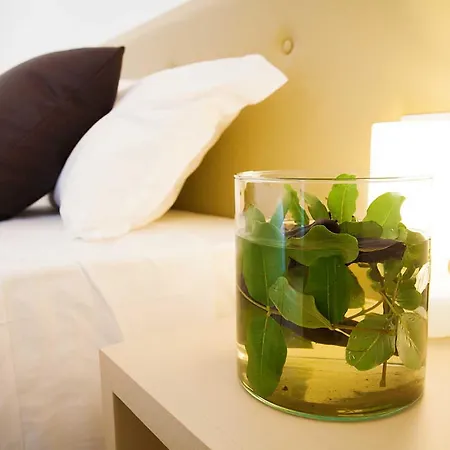 Lantgård Masseria La Cornula Santa Barbara (Apulia)